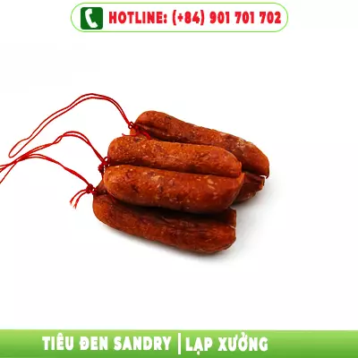 Tieu Den Sandry _ Lap xuong_-18-09-2021-01-41-07.webp